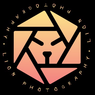 LION PHOTOGRAPHY